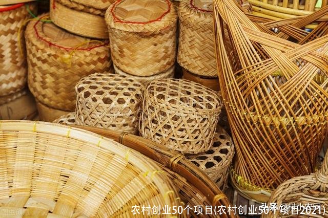 农村创业50个项目(农村创业50个项目2021)
