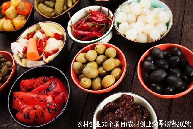 农村创业50个项目(农村创业50个项目2021)
