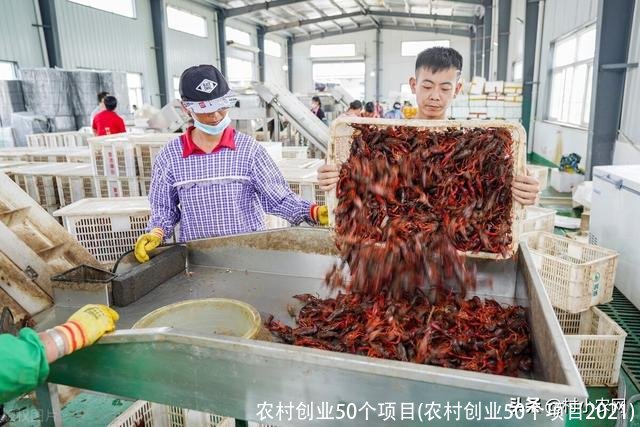 农村创业50个项目(农村创业50个项目2021)