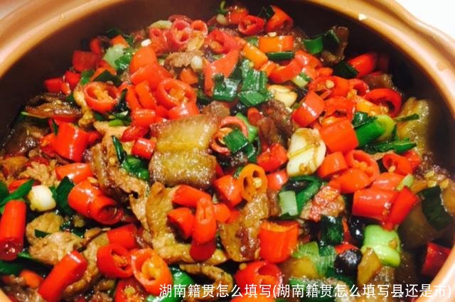 湖南籍贯怎么填写(湖南籍贯怎么填写县还是市)