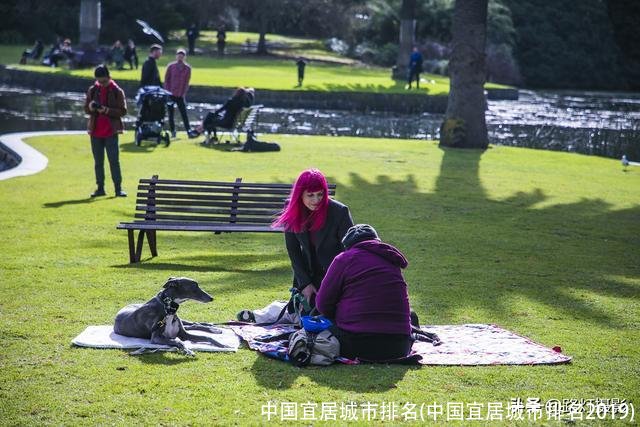 中国宜居城市排名(中国宜居城市排名2019)