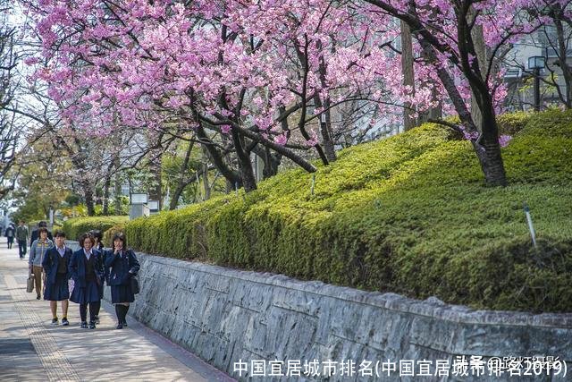 中国宜居城市排名(中国宜居城市排名2019)