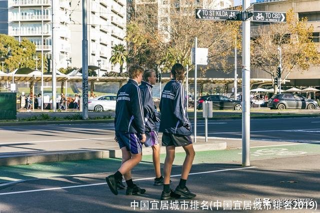 中国宜居城市排名(中国宜居城市排名2019)