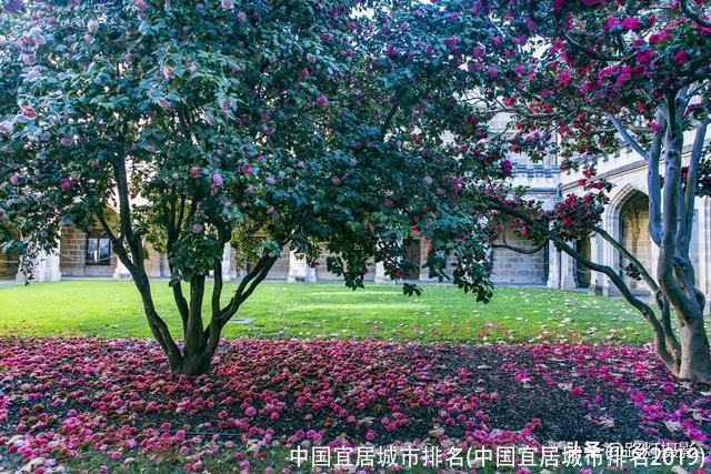 中国宜居城市排名(中国宜居城市排名2019)