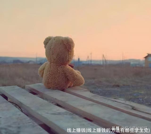 线上赚钱(线上赚钱的方法有哪些学生党)