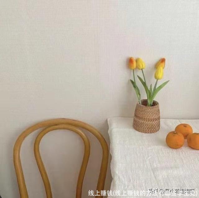 线上赚钱(线上赚钱的方法有哪些学生党)