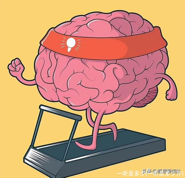 一听是多少(一听是多少斤)