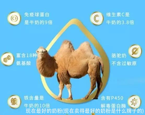 现在最好的奶粉(现在卖得最好的奶粉是什么牌子的)