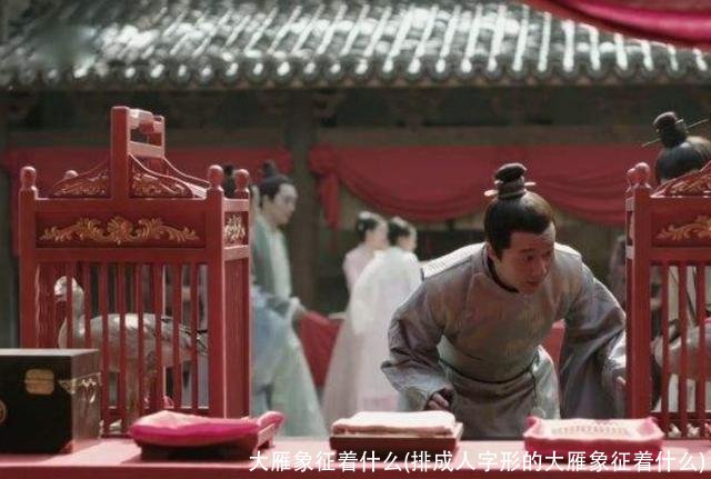 大雁象征着什么(排成人字形的大雁象征着什么)