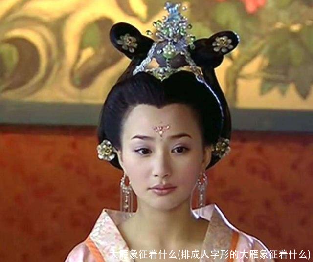 大雁象征着什么(排成人字形的大雁象征着什么)