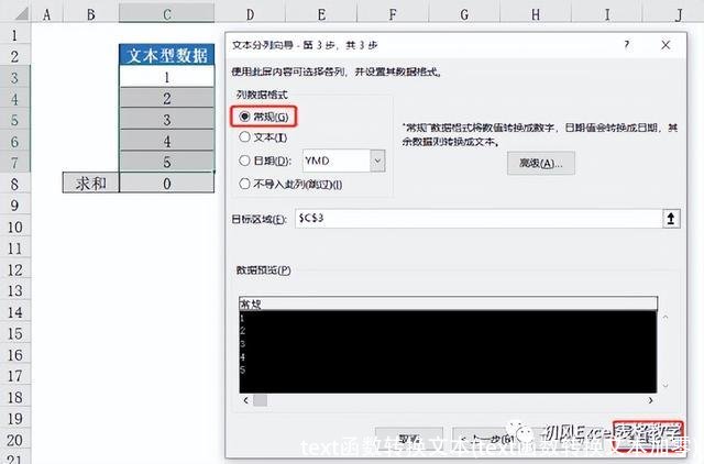 text函数转换文本(text函数转换文本加零)