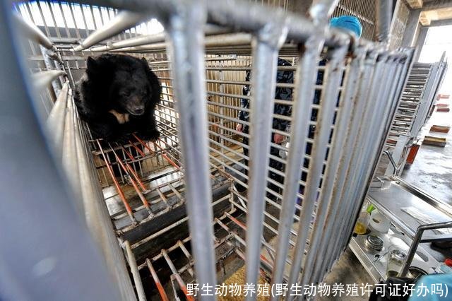 野生动物养殖(野生动物养殖许可证好办吗)
