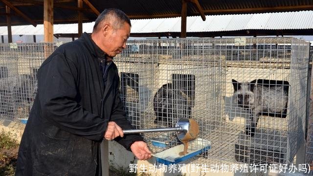 野生动物养殖(野生动物养殖许可证好办吗)