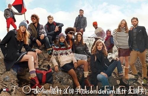 denim是什么牌子(bison denim是什么牌子)