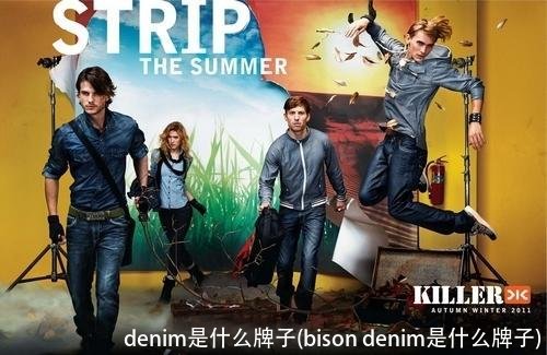 denim是什么牌子(bison denim是什么牌子)