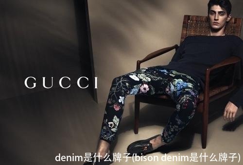 denim是什么牌子(bison denim是什么牌子)