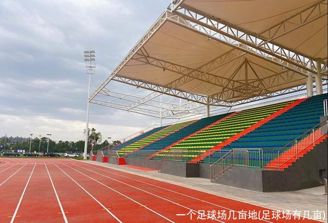 一个足球场几亩地(足球场有几亩)