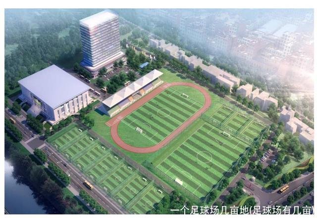 一个足球场几亩地(足球场有几亩)