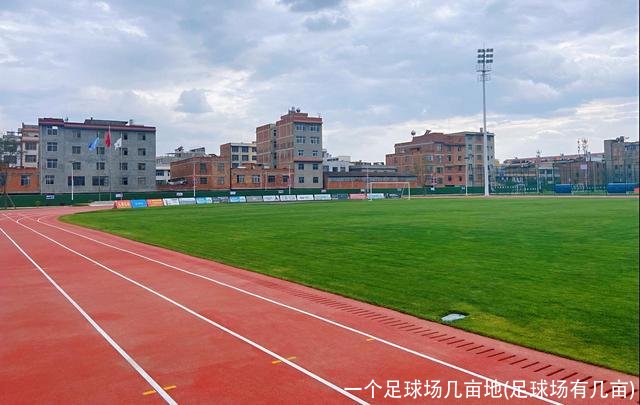 一个足球场几亩地(足球场有几亩)