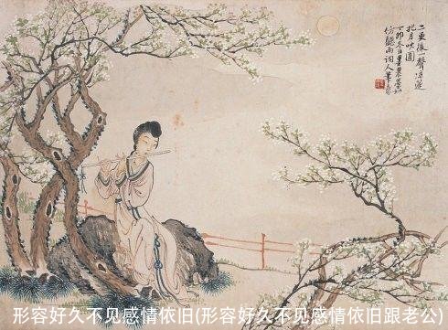 形容好久不见感情依旧(形容好久不见感情依旧跟老公)