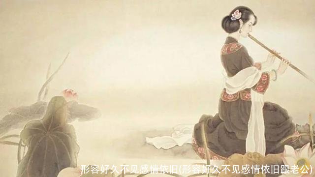 形容好久不见感情依旧(形容好久不见感情依旧跟老公)