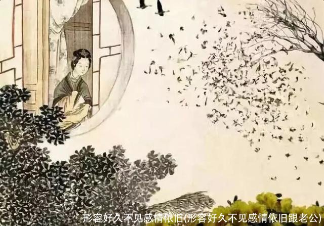 形容好久不见感情依旧(形容好久不见感情依旧跟老公)