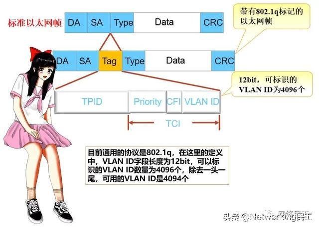 vep格式(vep格式用什么打开)
