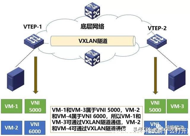 vep格式(vep格式用什么打开)