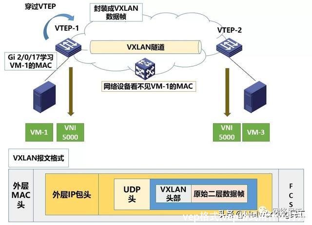 vep格式(vep格式用什么打开)