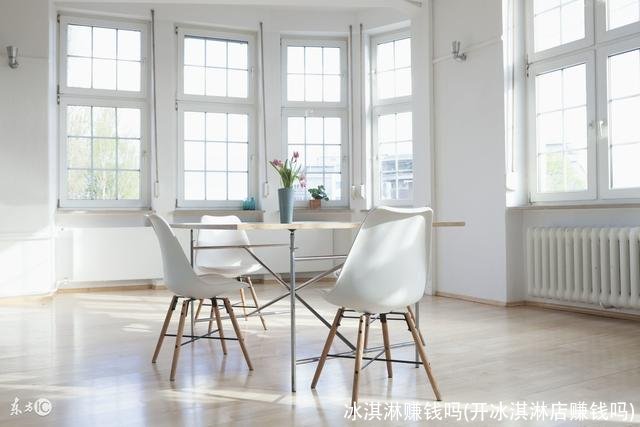 冰淇淋赚钱吗(开冰淇淋店赚钱吗)