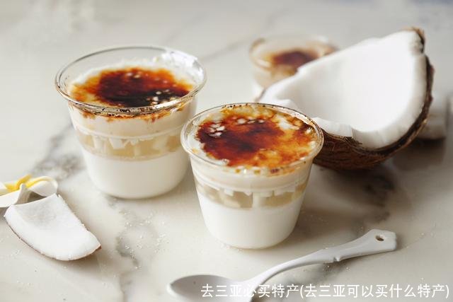 去三亚必买特产(去三亚可以买什么特产)