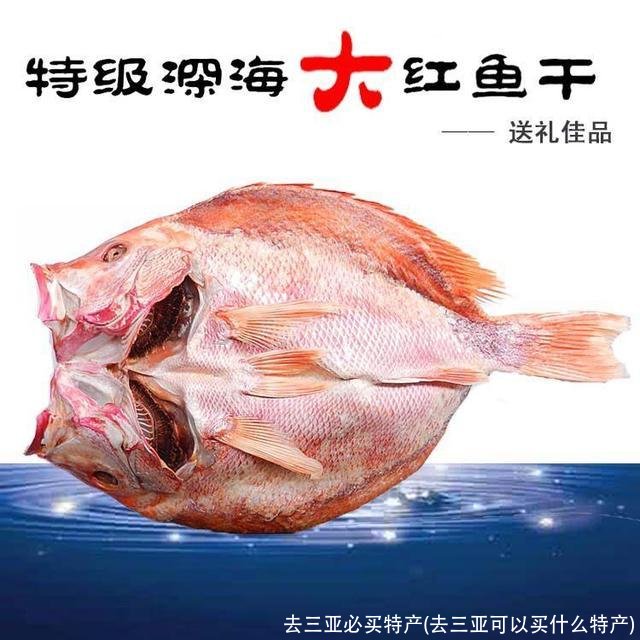去三亚必买特产(去三亚可以买什么特产)