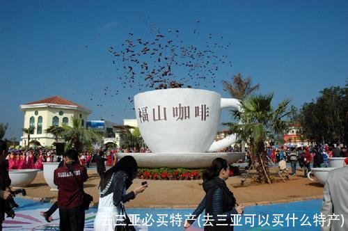 去三亚必买特产(去三亚可以买什么特产)