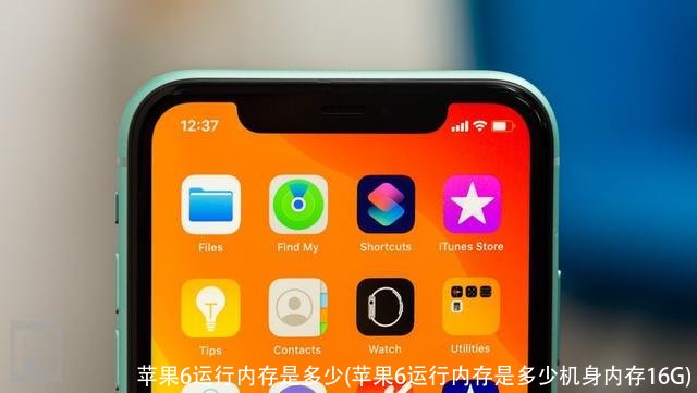 苹果6运行内存是多少(苹果6运行内存是多少机身内存16G)