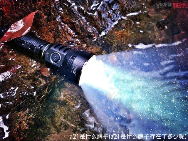 a21是什么牌子(a21是什么牌子存在了多少呢)