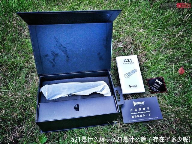 a21是什么牌子(a21是什么牌子存在了多少呢)