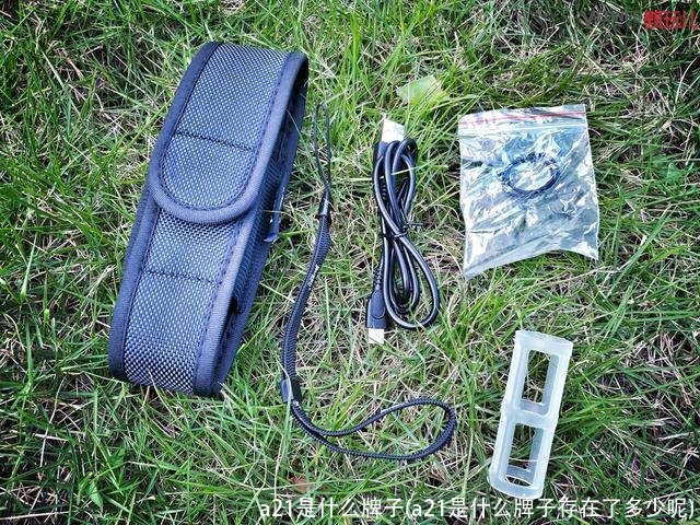 a21是什么牌子(a21是什么牌子存在了多少呢)