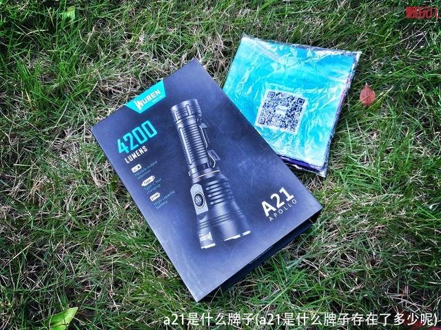 a21是什么牌子(a21是什么牌子存在了多少呢)