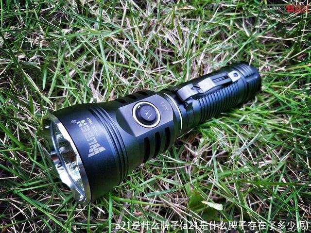 a21是什么牌子(a21是什么牌子存在了多少呢)