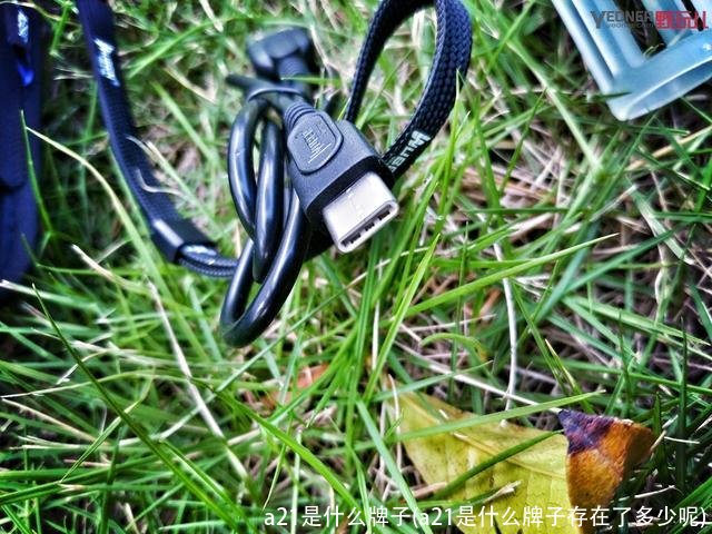 a21是什么牌子(a21是什么牌子存在了多少呢)