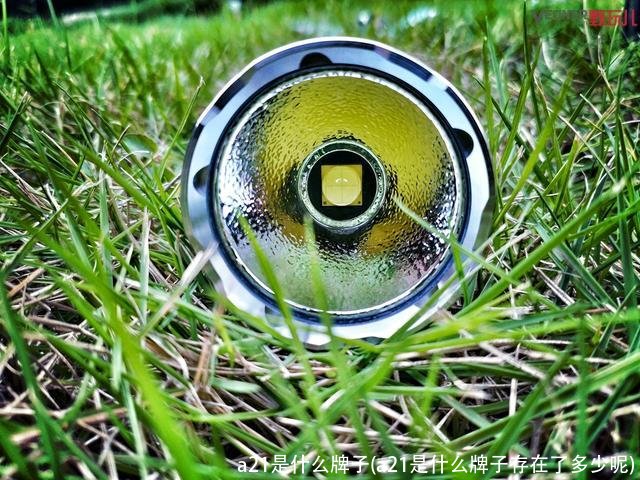 a21是什么牌子(a21是什么牌子存在了多少呢)