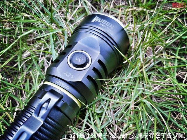 a21是什么牌子(a21是什么牌子存在了多少呢)