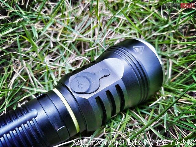 a21是什么牌子(a21是什么牌子存在了多少呢)