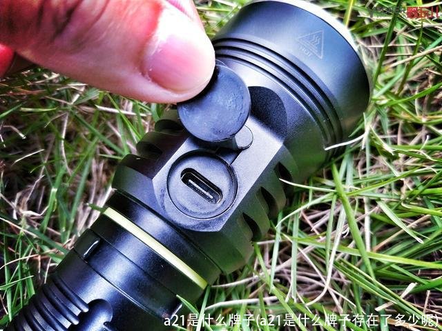 a21是什么牌子(a21是什么牌子存在了多少呢)