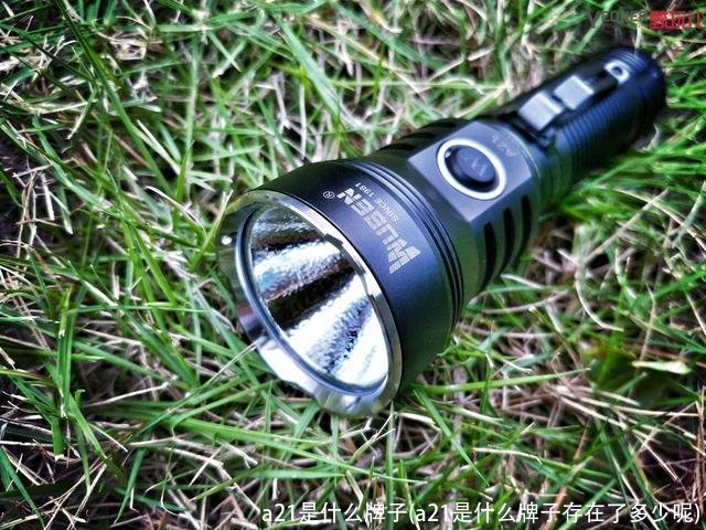 a21是什么牌子(a21是什么牌子存在了多少呢)