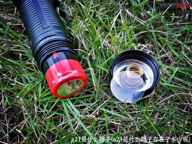 a21是什么牌子(a21是什么牌子存在了多少呢)