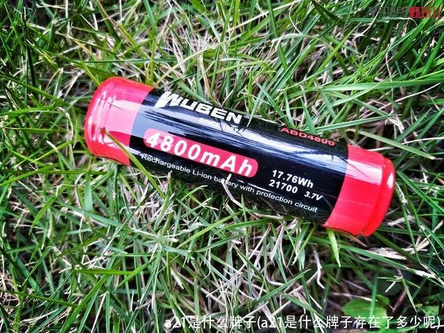 a21是什么牌子(a21是什么牌子存在了多少呢)