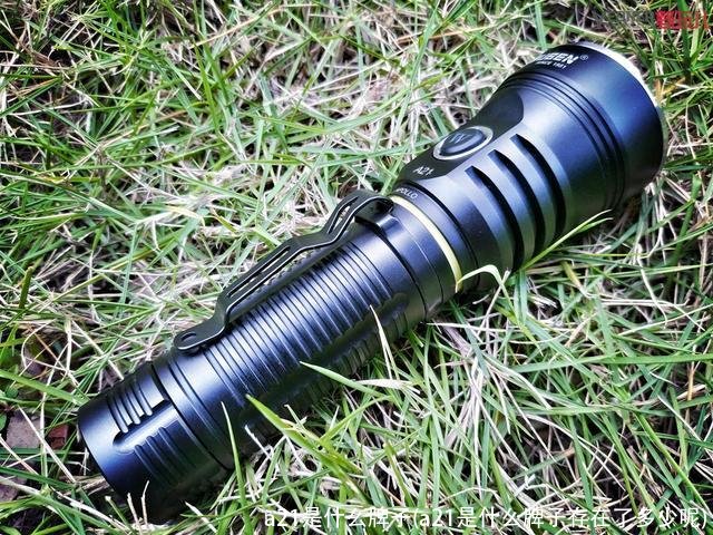 a21是什么牌子(a21是什么牌子存在了多少呢)