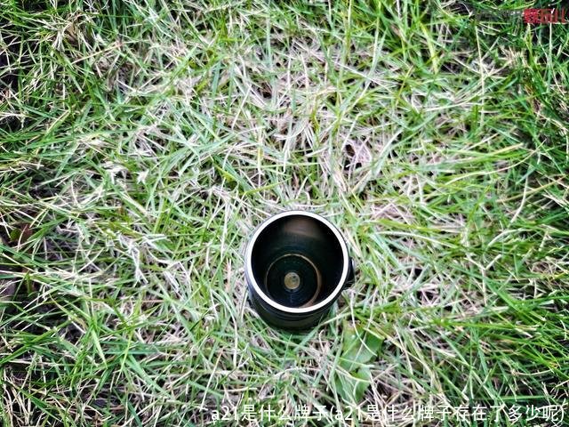 a21是什么牌子(a21是什么牌子存在了多少呢)