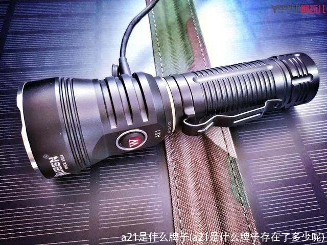 a21是什么牌子(a21是什么牌子存在了多少呢)